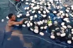 Perahu Nelayan Bawean Tenggelam Akibat Tankapan Ikan Melimpah