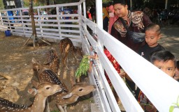 17 Juta Wisatawan Kunjungi Surabaya Sepanjang 2023