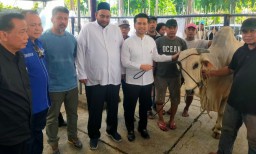 Baca juga : Partai Demokrat Jatim Potong 15 Ekor Sapi dan Kambing Pada Hari Raya Iduladha