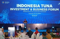 KKP Target Investasi Sektor Perikanan Tuna Indonesia Capai Rp9 Triliun Pada 2024