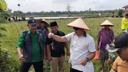 Baca juga : Desa Pematang Gajing Gelar ‘Grobyok Tikus’ untuk Dukung Ketahanan Pangan