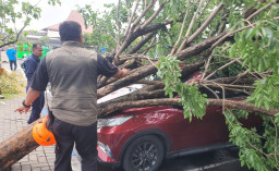 Bandara Juanda Surabaya Diterjang Puting Beliung, Pohon Tumbang Timpa Puluhan Kendaraan