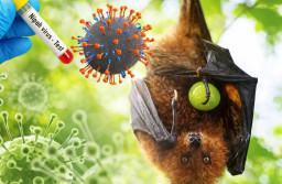 Waspada Virus Nipah: Kenali Gejala dan Cara Antisipasi Penularan