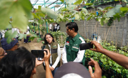 Inovasi PLN: Lahan di Bawah Jaringan Listrik Disulap Jadi Agroeduwisata, Raih Nominasi TOP CSR 2026