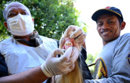 Pemkab Banyuwangi Periksa Kesehatan Hewan Kurban, Pastikan Layak saat Idul Adha