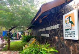BRIDA Surabaya Sulap Sampah Plastik Mangrove Jadi BBM untuk Nelayan, Solusi Baru Atasi Pencemaran