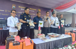 Polda Jatim Bongkar 3 Kasus Penyelundupan Satwa Dilindungi, 53 Gading Gajah hingga 39 Ribu Benih Lobster Disita