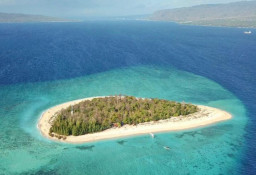 Banyuwangi Diserbu 90 Ribu Wisatawan Saat Libur Panjang, Hotel Penuh dan Destinasi Membludak