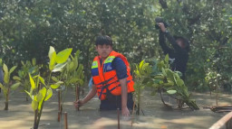 Pelajar Surabaya Bawa Indonesia Juara 1 Eco-Hero Internasional, Mimpinya Tanam 1 Juta Mangrove