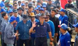 Lomba Karapan Sapi Jelang HUT Ke-25 Demokrat, AHY Tegaskan Budaya Nusantara Harus Terus Dilestarikan