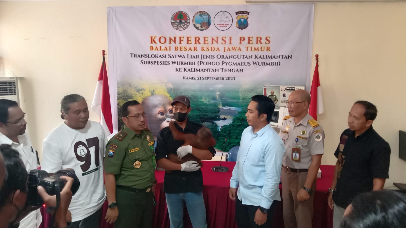 BKSDA Jatim ungkap kasus penyelundupan orangutan. (Dok: Humas BKSDA Jatim)