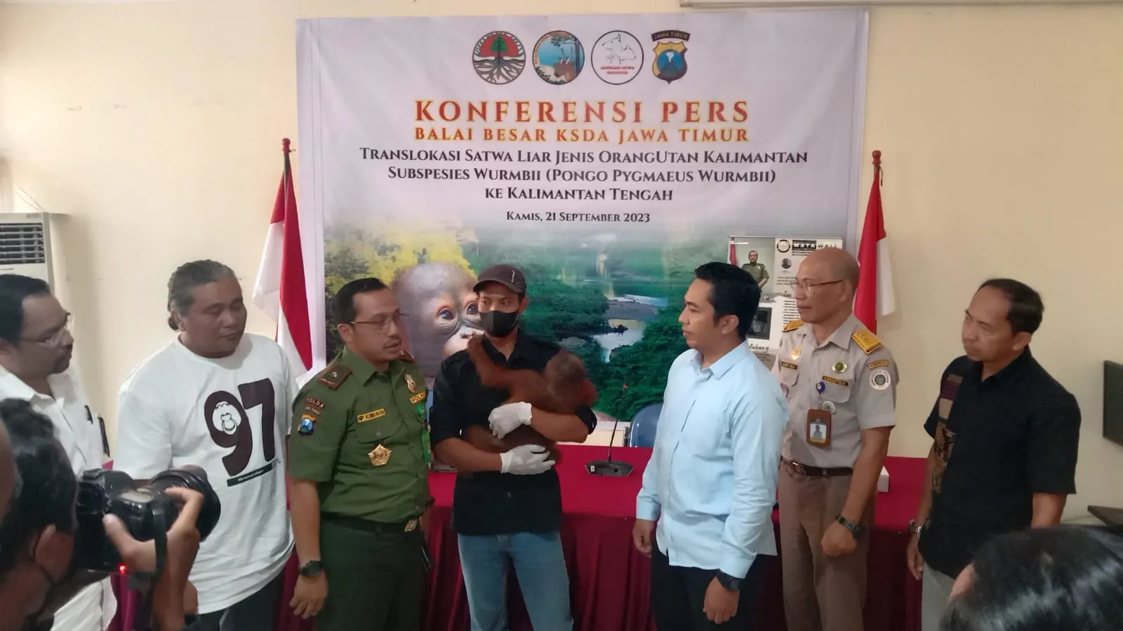 BKSDA Jatim Bongkar Penyelundupan Orangutan
