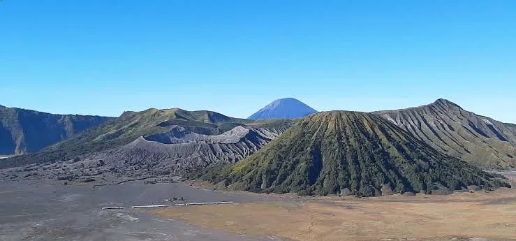 Polda Jatim Ambilalih Kasus Karhutla Bromo, Ini Alasannya