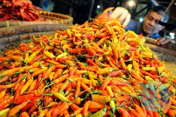 Baca juga : Harga Cabai Rawit di Jatim Meroket Dampak Kemarau Panjang