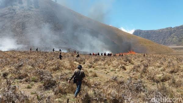 Kebakaran hutan dan lahan (Karhutla) Gunung Bromo, Jawa Timur. (Istimewa)