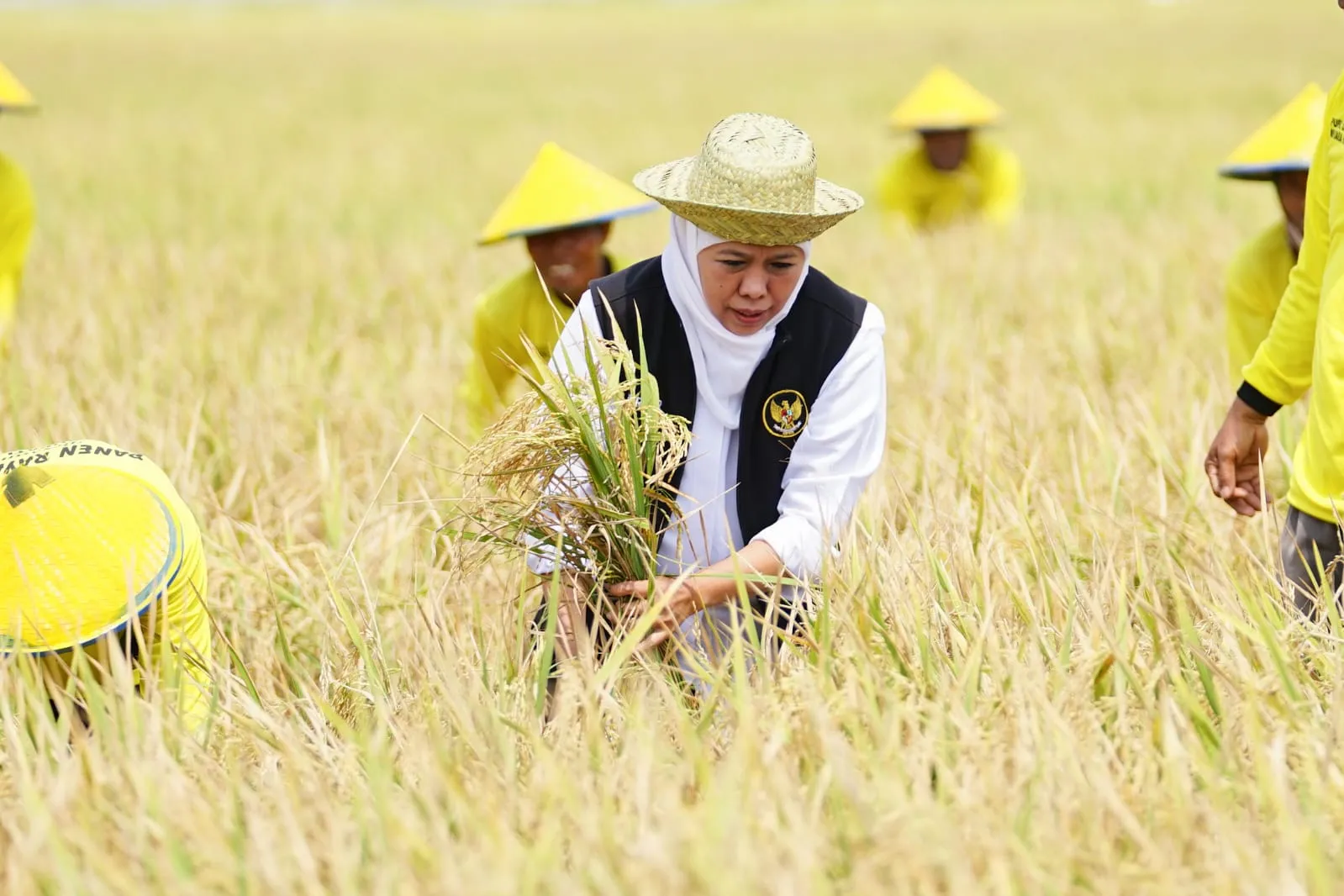 Panen Raya Padi di Tuban, Khofifah: Jatim Jadi Produsen Padi Tertinggi Nasional 