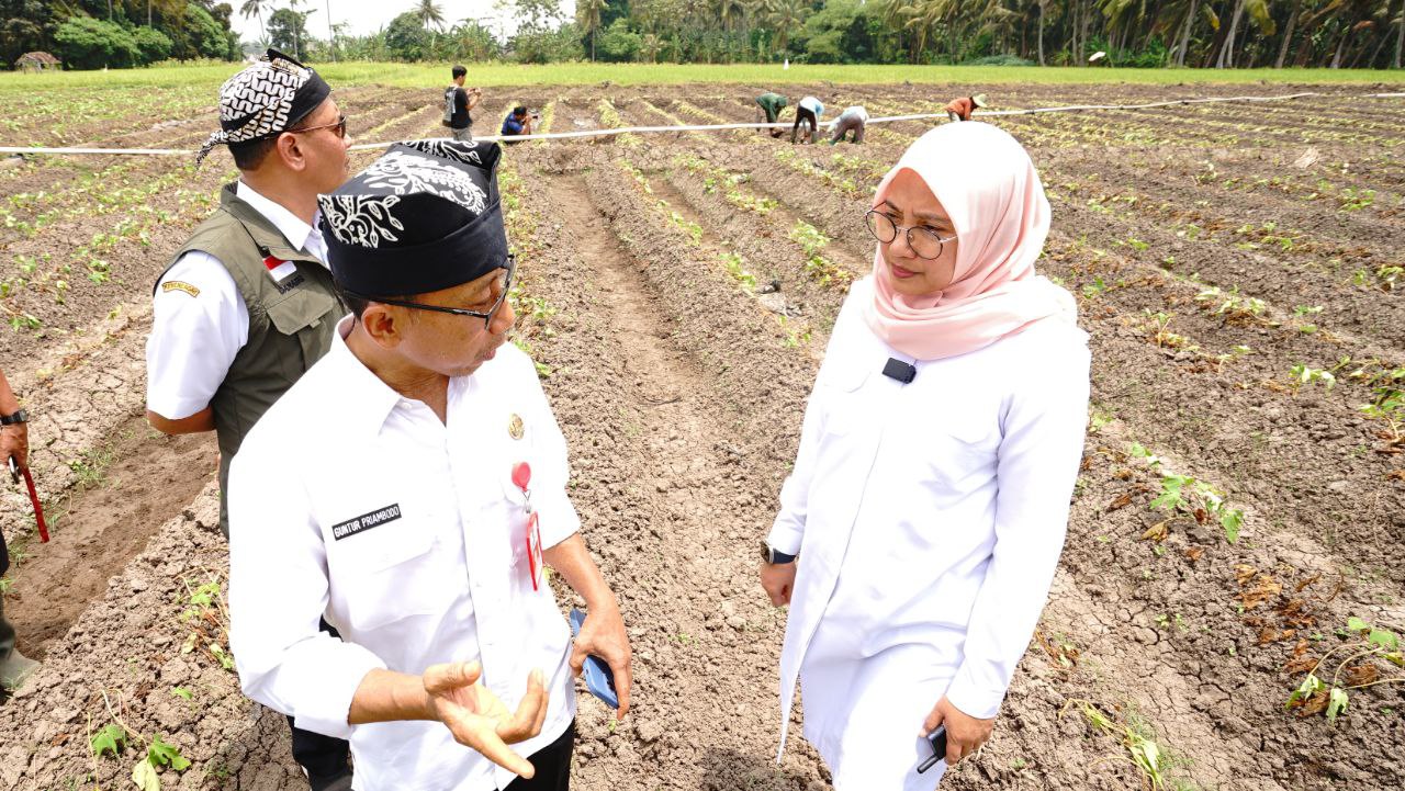 Bupati Banyuwangi Ipuk Fiestiandani, saat meninjau ketersediaan air lahan pertanian. (Dok: Humas Pemkab Banyuwangi)