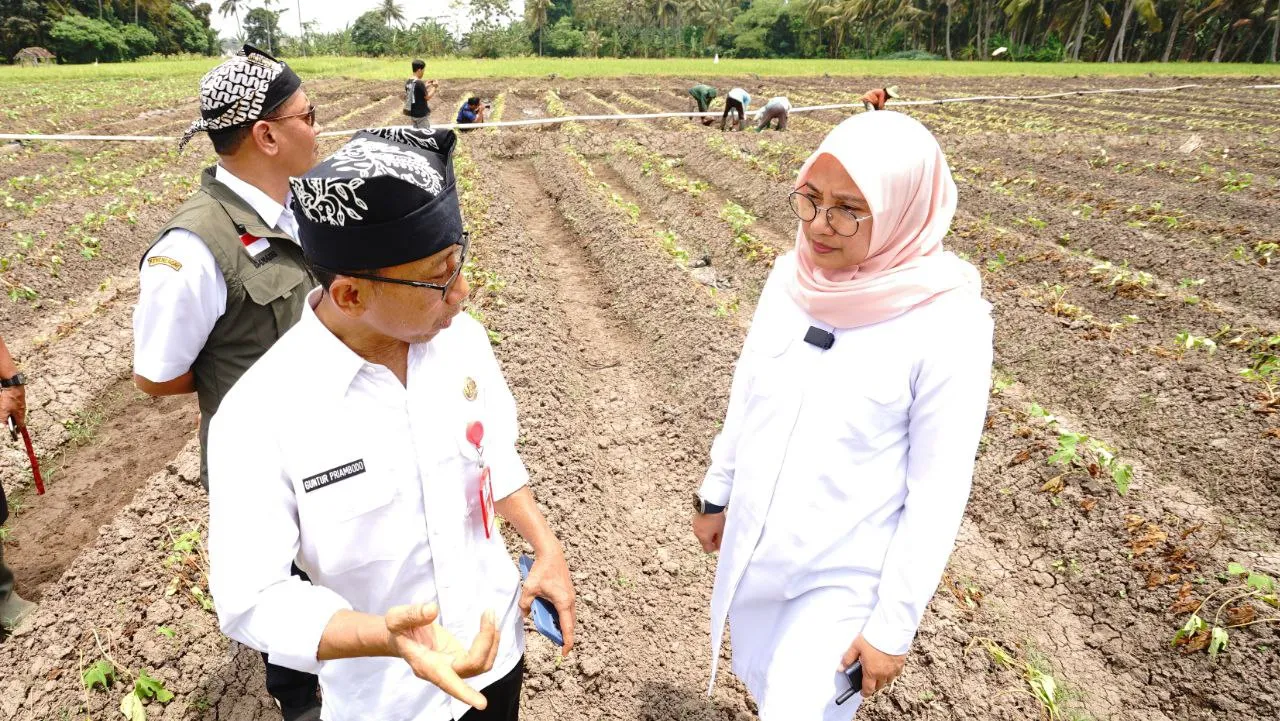 Pantau Lahan Pertanian, Bupati Ipuk: Cek Ketersedian Air