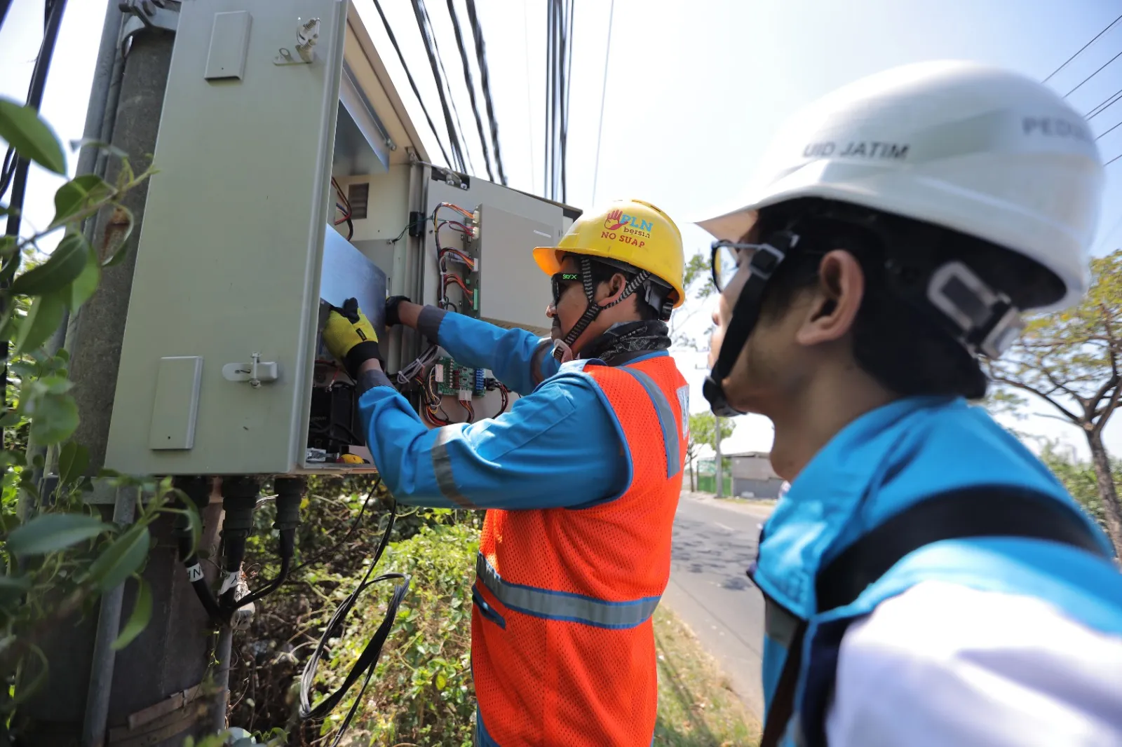 Pelanggan Program Electrifying Agriculture PLN Tumbuh 241 Ribu Sepanjang 2023