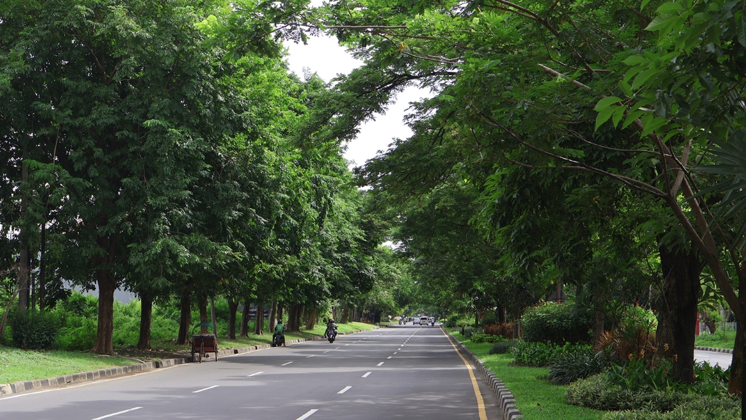 Salah satu jalan di kawasan Merr Surabaya. (Dok: Humas Pemkot Surabaya)