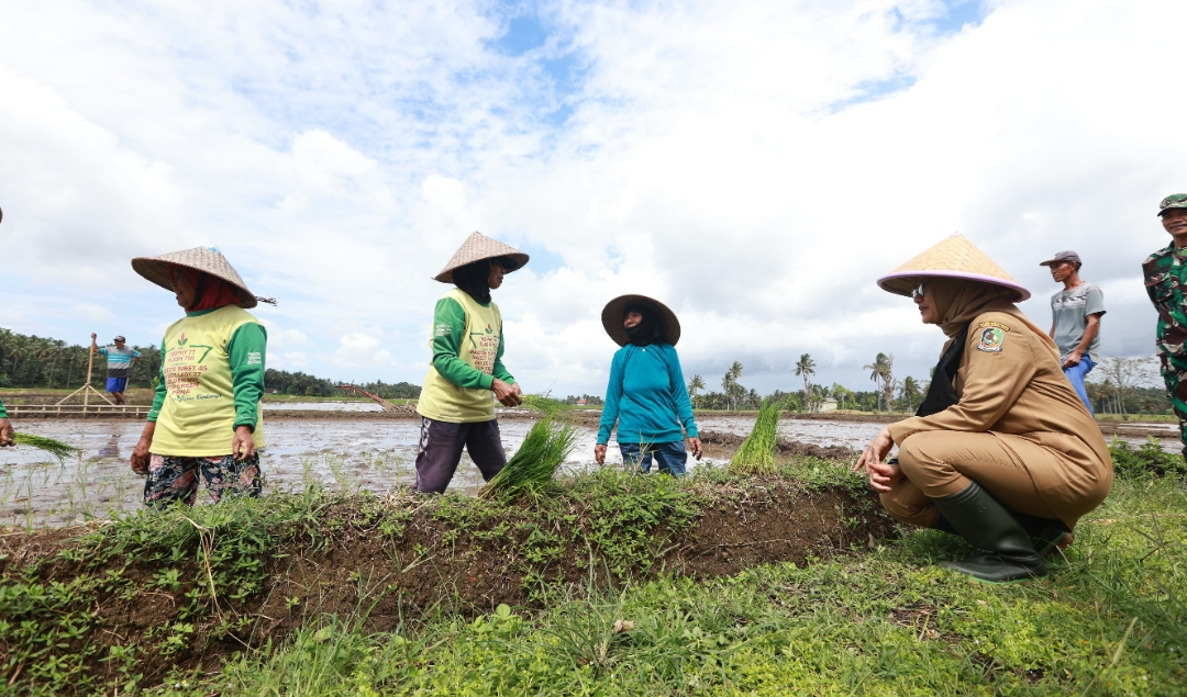 Bupati Banyuwangi Ipuk Fiestiandani di lahannya di sela kegiatan Bunga Desa (Bupati Ngantor di Desa) di Desa Gendoh, Temuguruh, dan Karangsari, Kecamatan Sempu, Banyuwangi. (Dok: Humas Pemkab Banyuwangi)