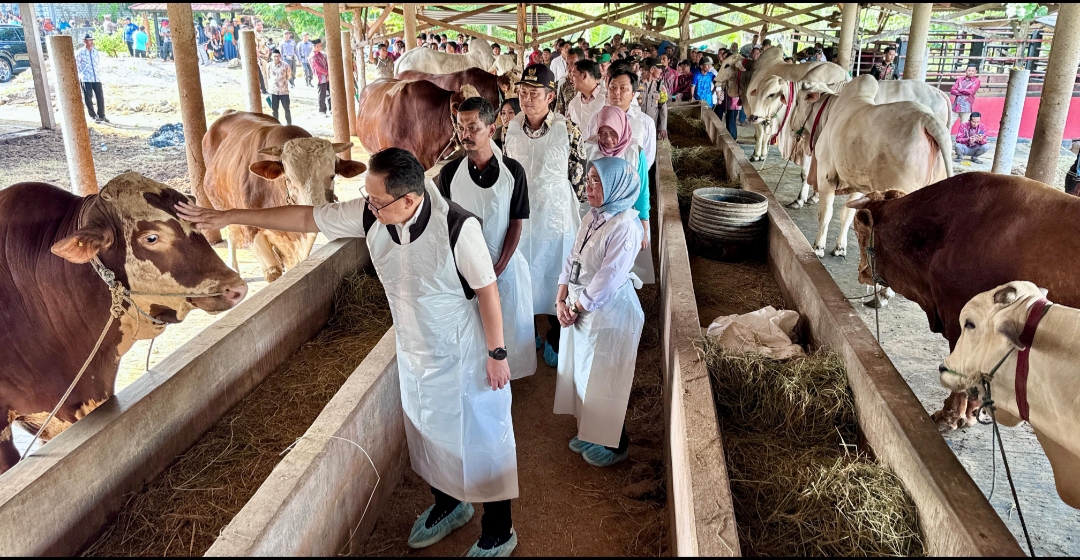 Penjabat (Pj) Gubernur Jawa Timur, Adhy Karyono, meninjau salah satu tempat ternak sapi di Kabupaten Lamongan. (Dok: Humas Pemprov Jatim)