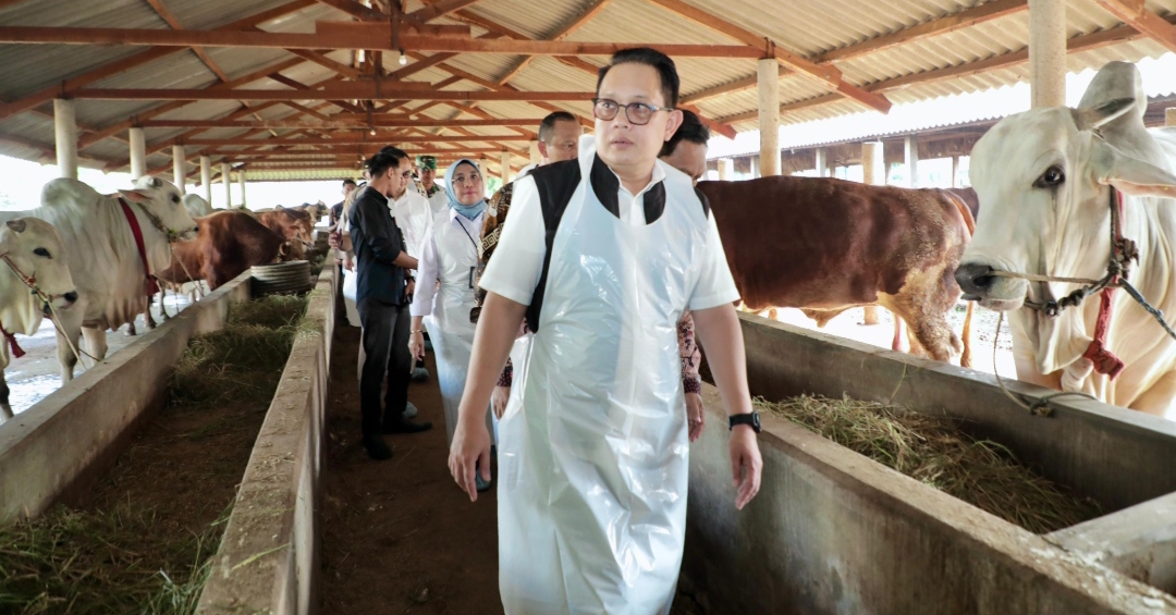 Penjabat (Pj) Gubernur Jawa Timur, Adhy Karyono, meninjau hewan kurban di Kabupaten Lamongan. (Dok: Humas Pemprov Jatim)