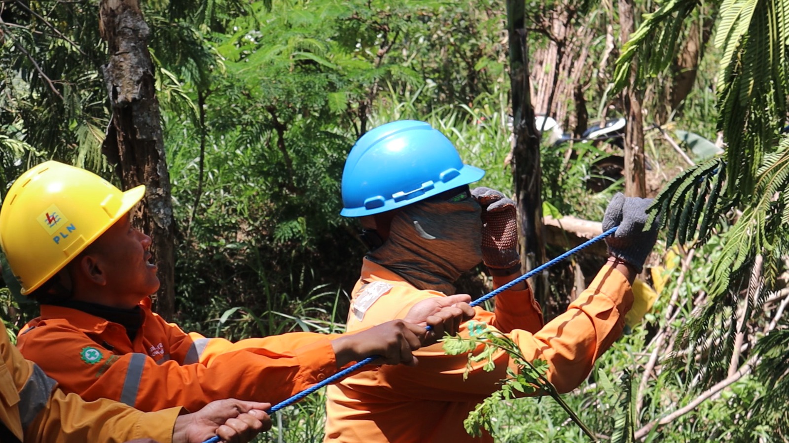 Petugas PLN rabas pohon di Jaringan SUTT Guna Pertahankan Zero Kritis di Jalur Right Of Way. (Dok: Humas PLN UID Jatim)