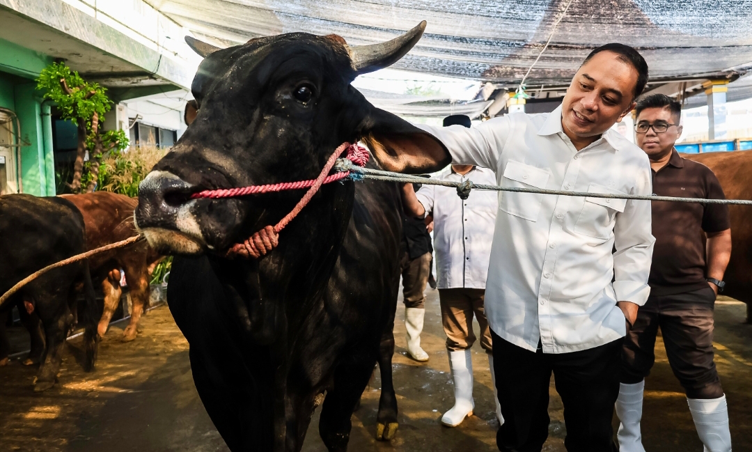 Wali Kota Surabaya Eri Cahyadi saat meninjau langsung kandang milik Suyatno. (Dok: Humas Pemkot Surabaya)