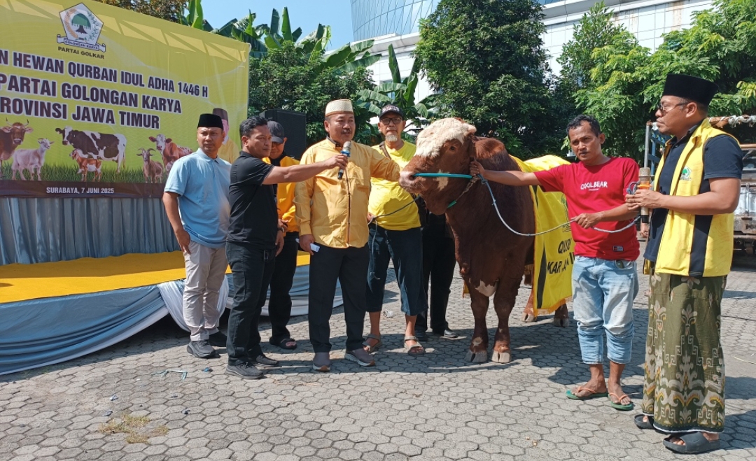 Ketua DPD Partai Golkar Jatim, Ali Mufthi (songkok putih), serah terima sapi kurban untuk disembelih. (Insani/Jurnas.net)