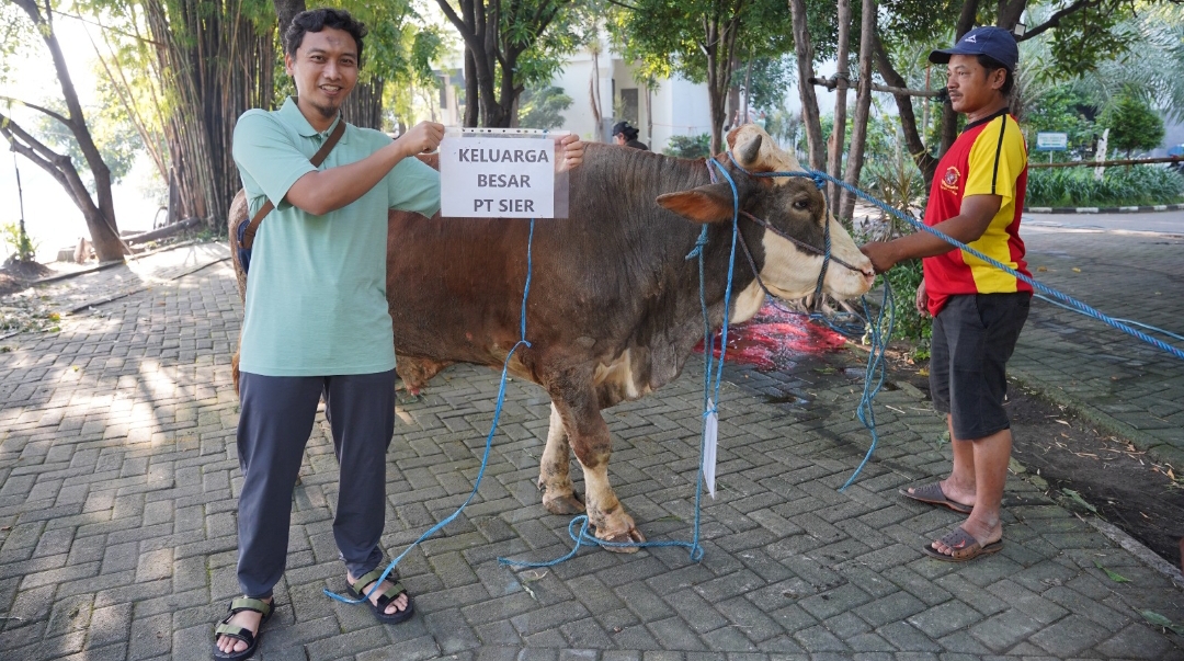 Keluarga PT SIER berbagi hewan kurban di kawasan industri. (Dok: Humas PT SIER)