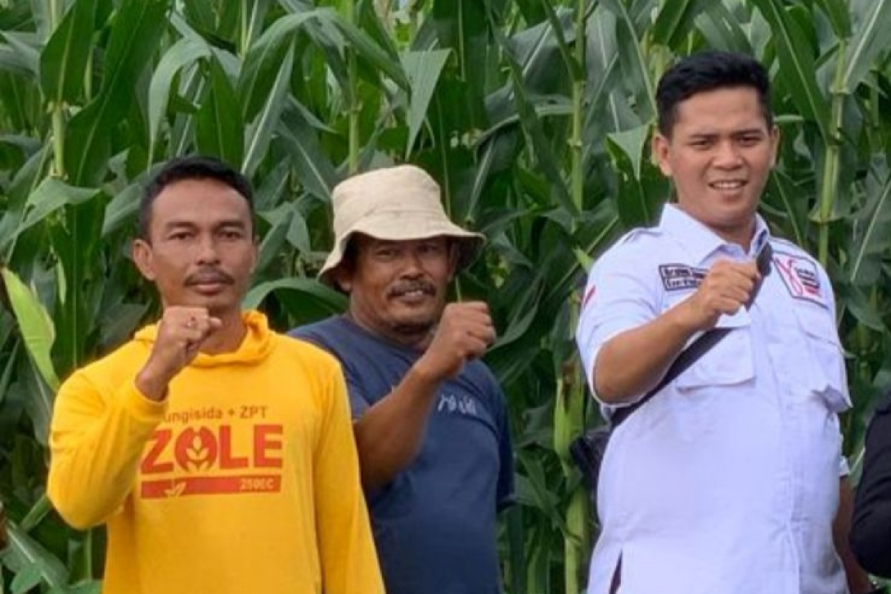 Ilustrasi petani. (Istimewa)