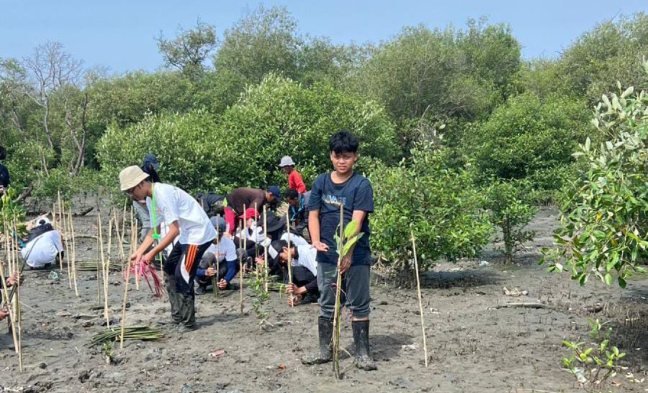 Pelajar Surabaya melakukan gerakan menanam mangrove untuk jaga pesisir. (Humas Pemkot Surabaya)