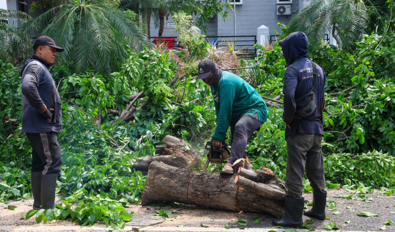 Petugas Pemkot Surabaya memotong pohon tumbang. (Humas Pemkot Surabaya)