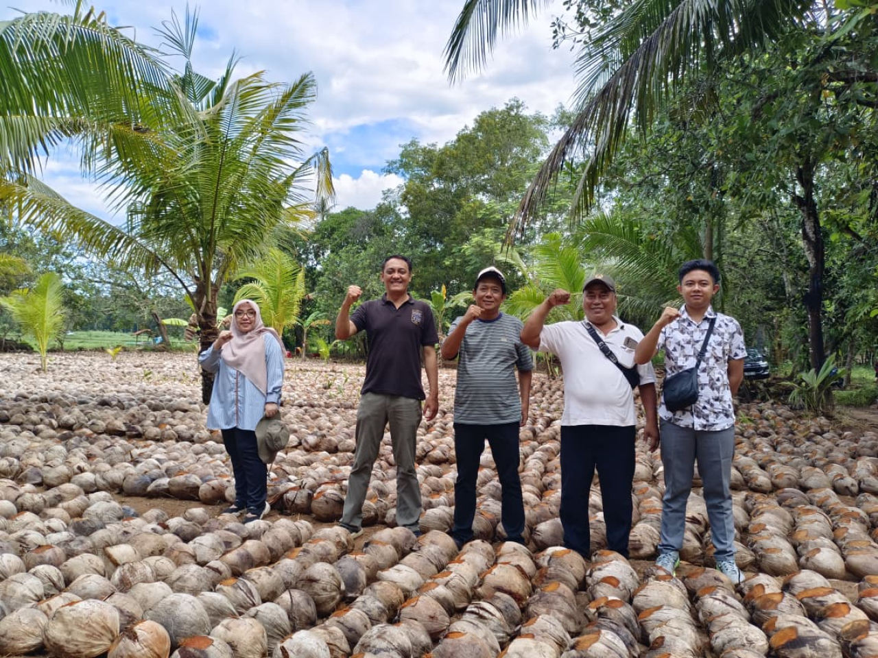 Ketua Kelompok Substansi Benih Kelapa Sawit dan Aneka Palma Direktorat Perbenihan Perkebunan Ditjen Perkebunan, Ratna Rubandiah, meninjau penangkaran benih kelapa di Sumenep. (Istimewa)