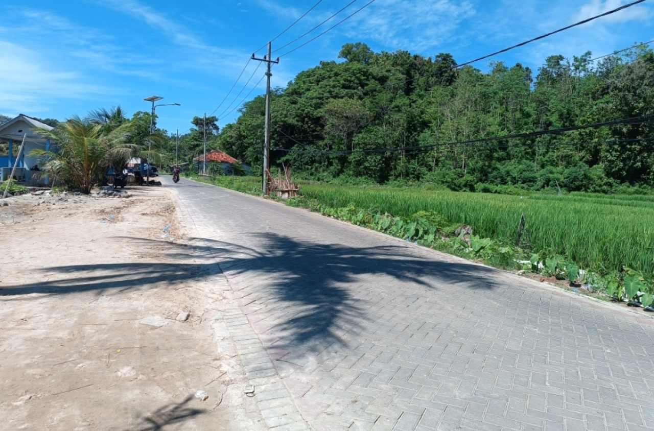 Jalan Lingkar Bawean di wilayah Kecamatan Tambak, Bawean, Kabupaten Gresik. (Insani/Jurnas.net)