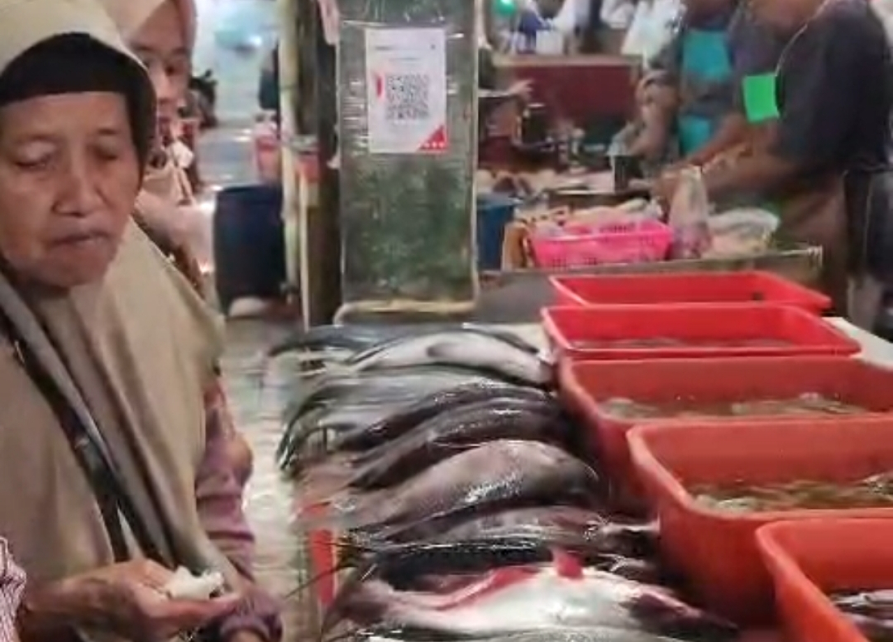 Ratusan ikan-ikan sebelum dimasak untuk disajikan pada acara HBH di Jogja. (Tangkapan Layar Video)