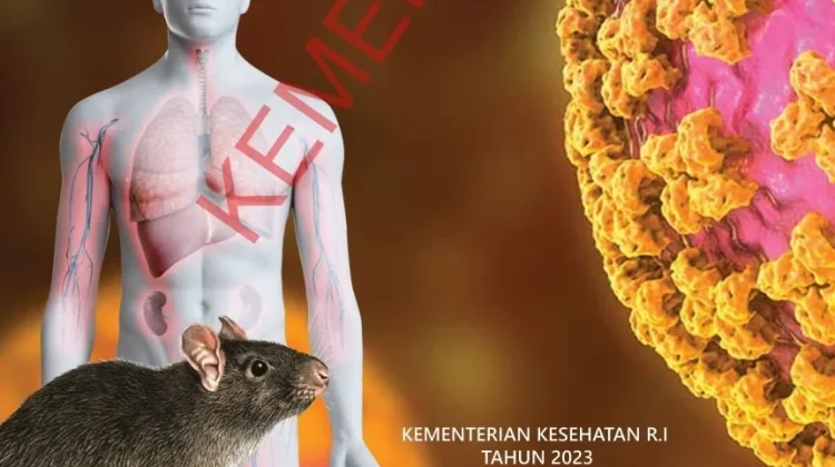 Waspadai Hantavirus, Pemkot Surabaya Perketat Deteksi Dini di Pintu Masuk Kota