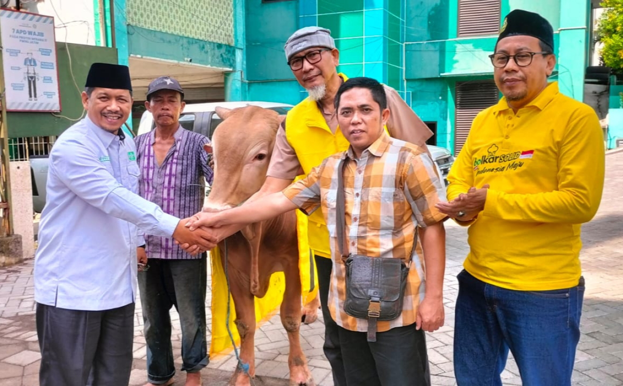Pengurus DPD Golkar Jatim menyerahkan sapi kurban ke PWNU Jatim. (Insani/Jurnas.net)