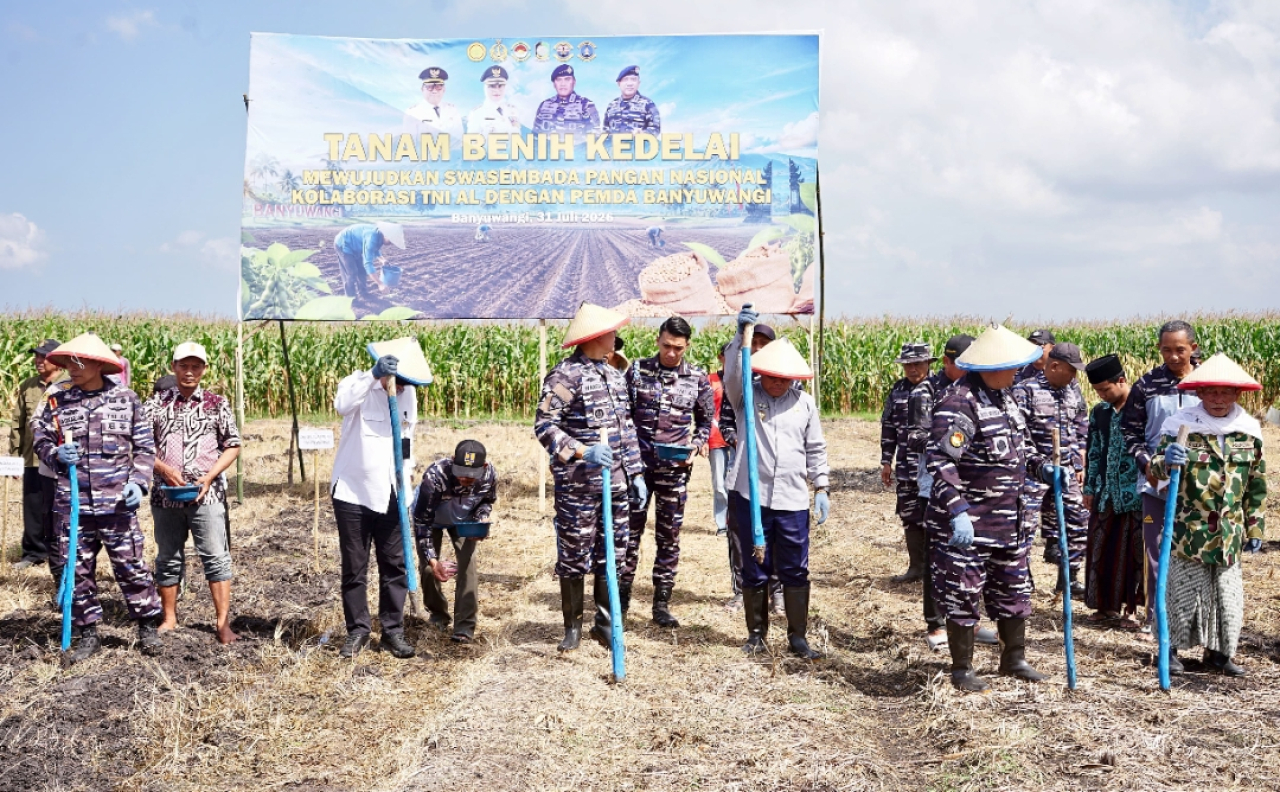 TNI AL dan Pemkab Banyuwangi perluas pengelolaan lahan kedelai hingga 1.200 hektare. (Humas Pemkab Banyuwangi)