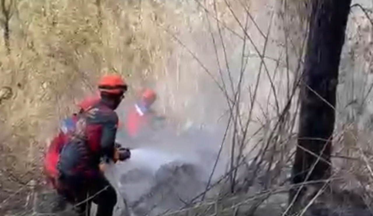 Personel Damkar Surabaya saat membantu memadamkan kebakaran Gunung Bromo. (Humas Pemkot Surabaya)