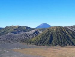 Butuh Rp3,5 Miliar Pemulihan Gunung Bromo Pasca Kebakaran