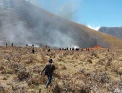 Berkas dan Tersangka Kasus Kebakaran Gunung Bromo Dilimpahkan ke Kejati Jatim Hari Ini
