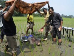 Tak Kuat Panas Ekstrem, Petani di Sragen Meninggal