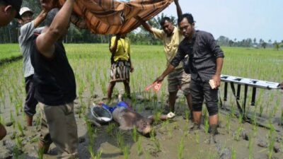 Tak Kuat Panas Ekstrem, Petani di Sragen Meninggal