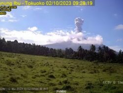 Gunung Ibu Erupsi Setinggi 1.100 Meter