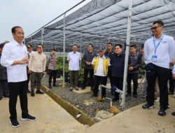 PLN Pastikan Kebutuhan Listrik dari Energi Bersih di IKN Aman Terkendali