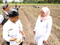 Pantau Lahan Pertanian, Bupati Ipuk: Cek Ketersedian Air