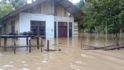 Delapan Kecamatan di Aceh Barat Terendam Banjir