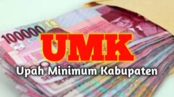 Pj Gubernur Jatim Tetapkan UMK 2025 Naik Hingga 7 Persen